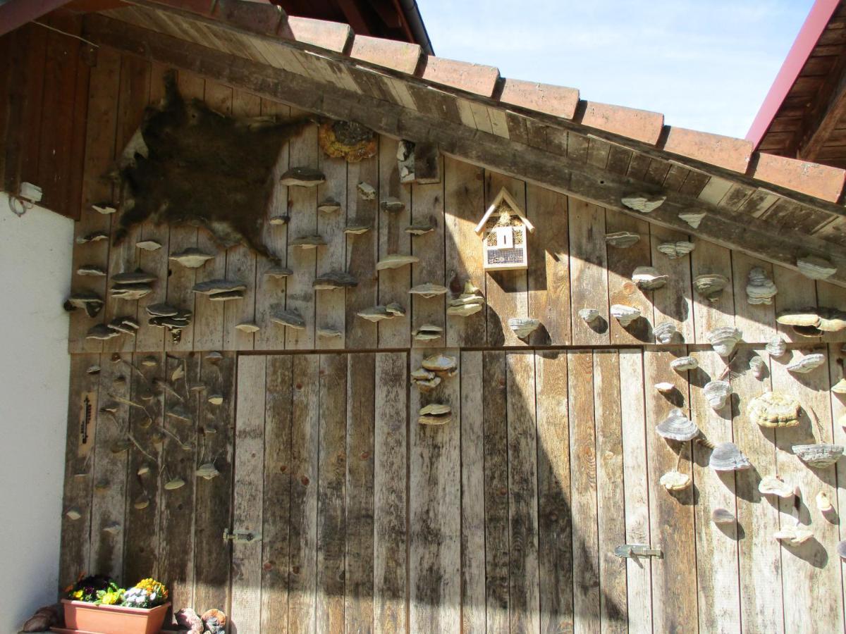 Zweilinden Appartement Steinen (Lorrach)