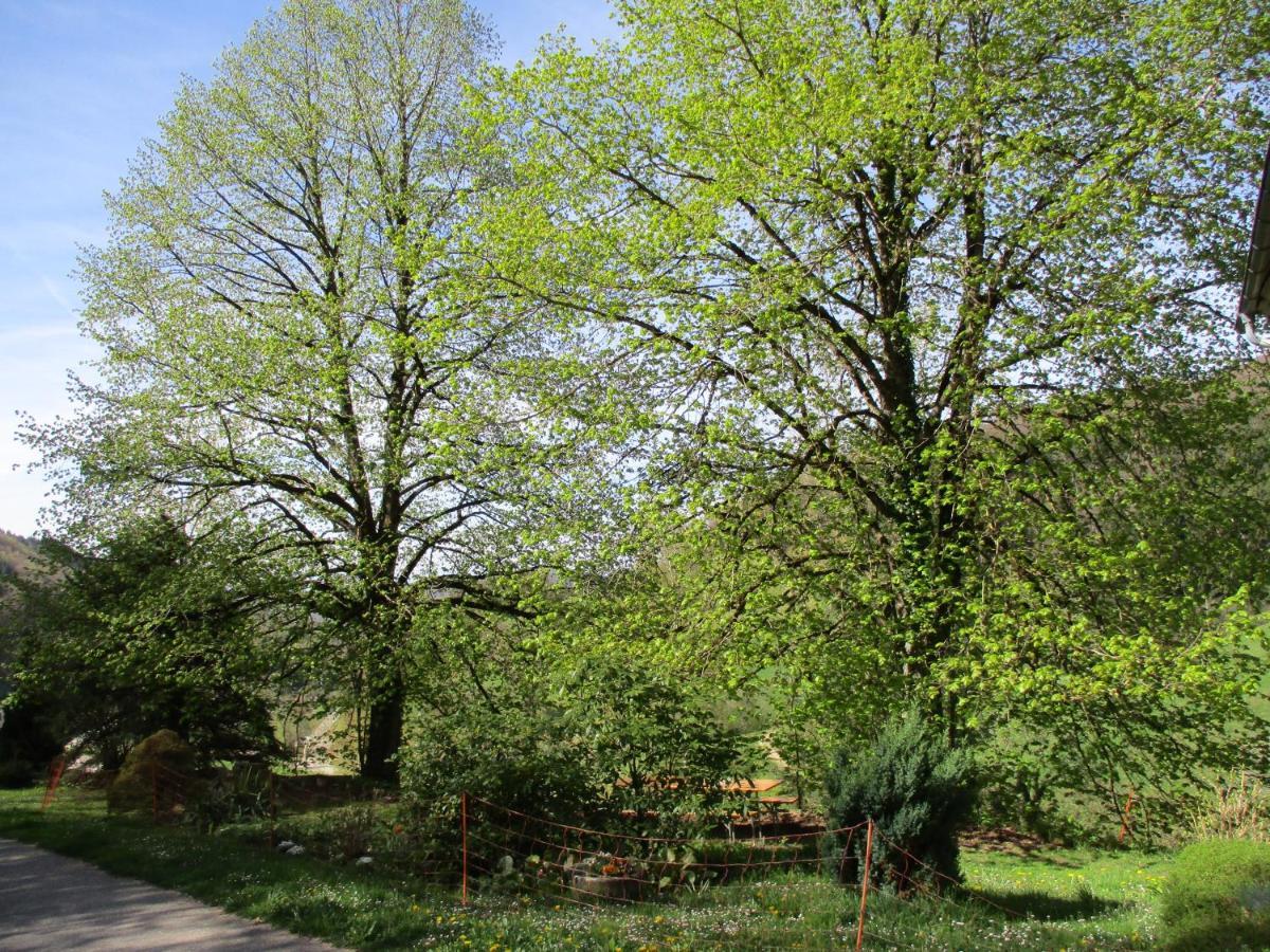Zweilinden * Steinen (Lorrach)